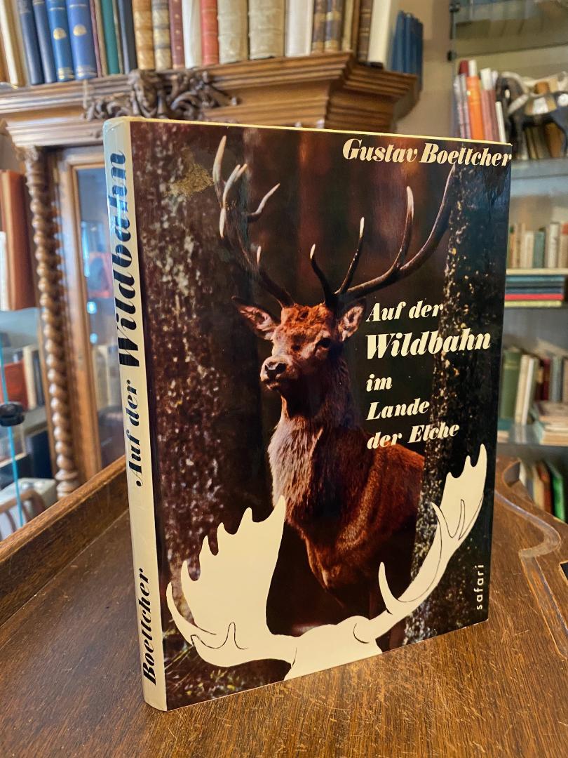 Boettcher, Auf der Wildbahn im Lande der Elche.