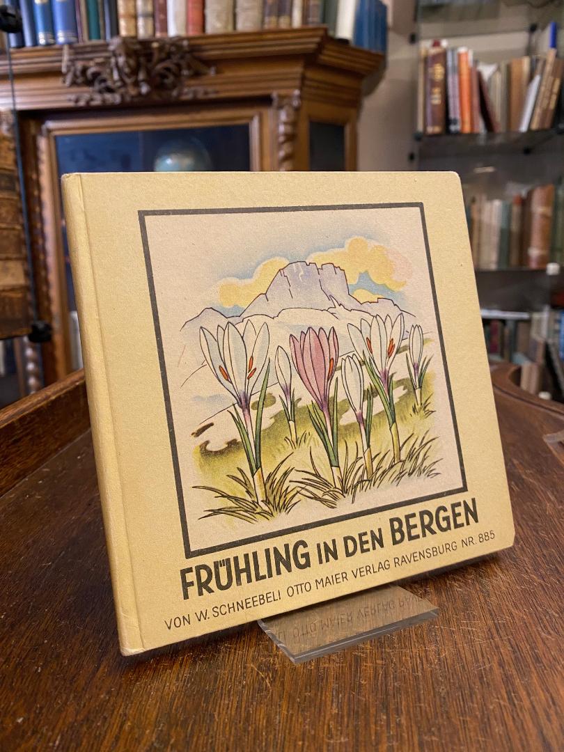 Schneebeli, Frühling in den Bergen :
