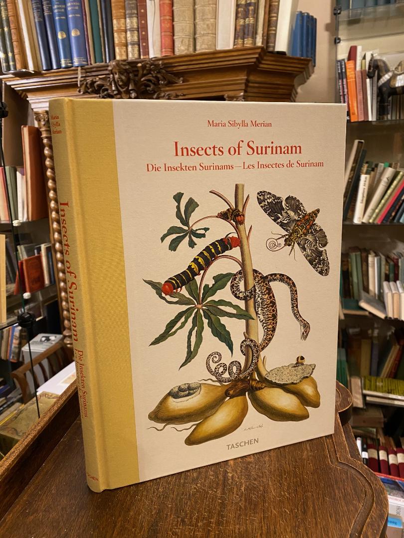 Merian, Maria Sibylla Merian : Metamorphosis Insectorum Surinamensium 1705 : Ins