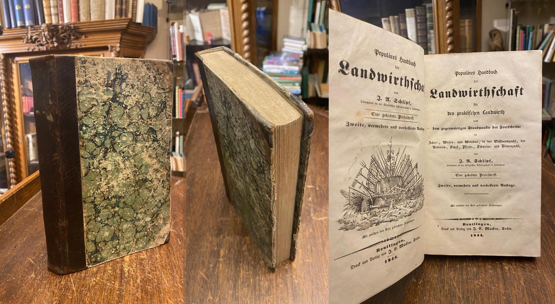 Schlipf, Populäres Handbuch der Landwirthschaft für den praktischen Landwirth n