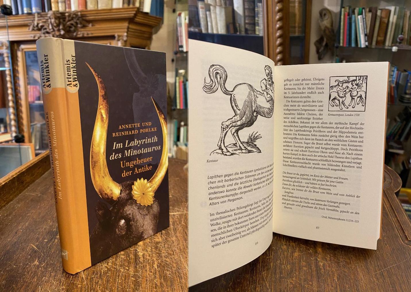 Pohlke, Im Labyrinth des Minotaurus : Ungeheuer der Antike.