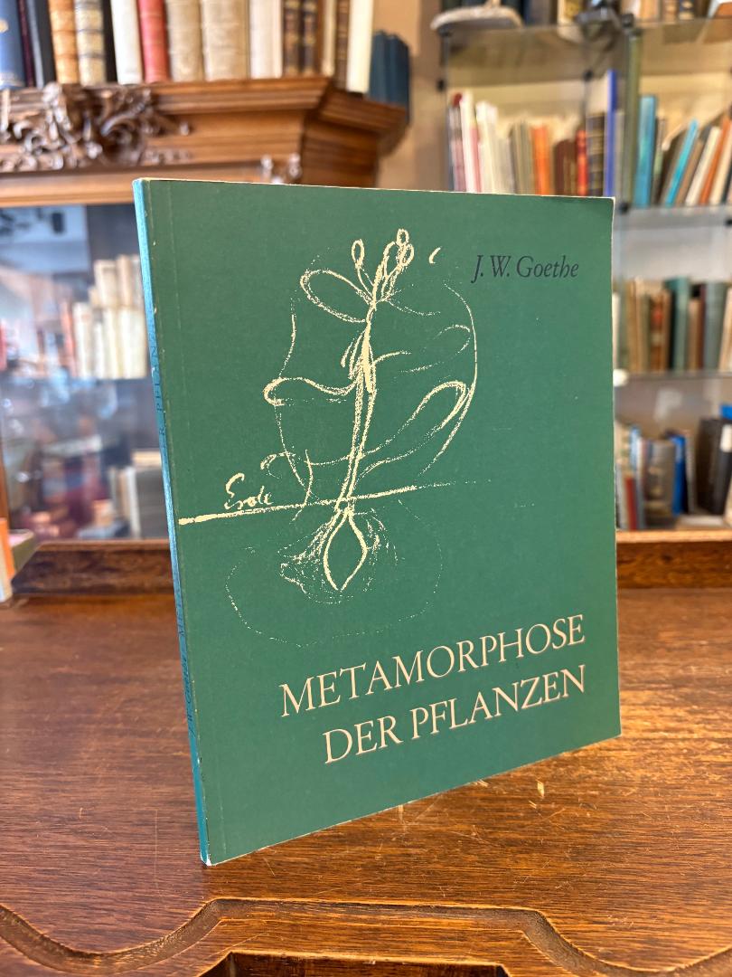 Goethe, Die Metamorphose der Pflanzen :