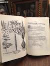 Besler, Hortus Eystettensis : sive diligens et accurata omnium plantarum, florum
