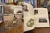 Lindau. - Weininger, 100 Jahre Stadtgärtnerei Lindau : Geschichte einer Gartenst