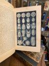 Haeckel, Natürliche Schöpfungs-Geschichte : Gemeinverständliche wissenschaftlich